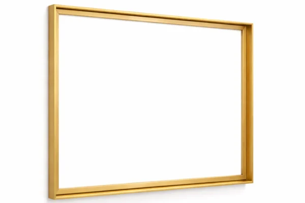 DIY Gold Floating Frame