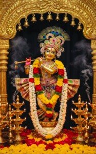 Golden Krishna Temple Idol Canvas Wall Art 3x4 Feet – Floating Frame – Premium Digital Canvas Print – Living Room & गृह आध्यात्मिक दीवार सजावट