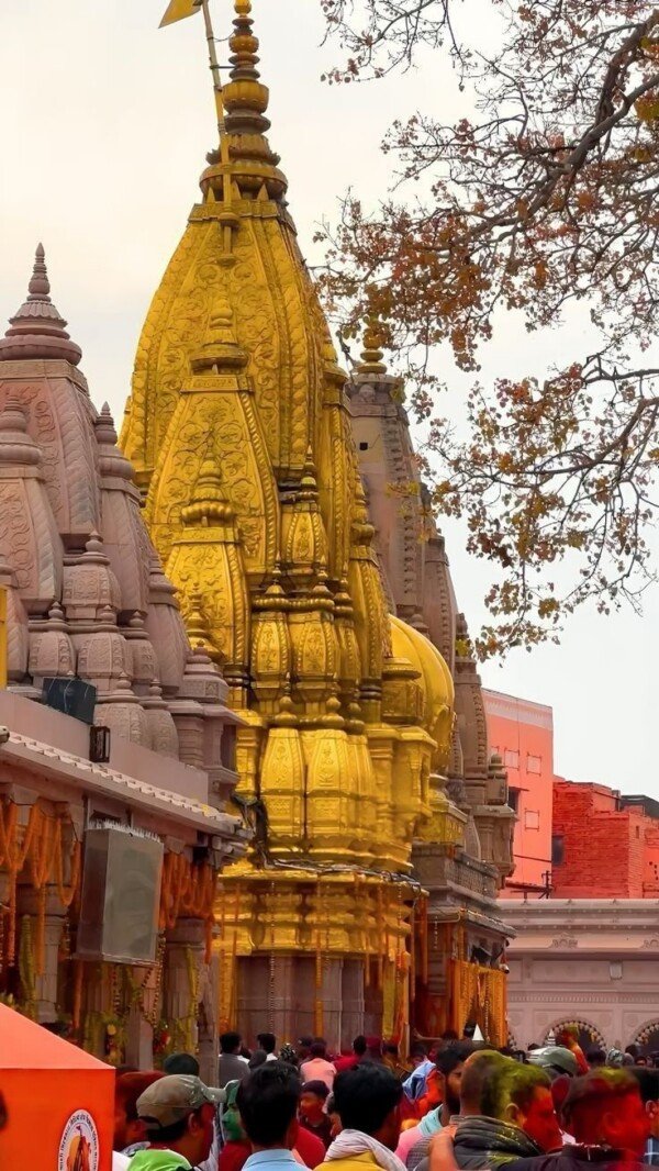 kashi vishwanath gold spire canvas wall art